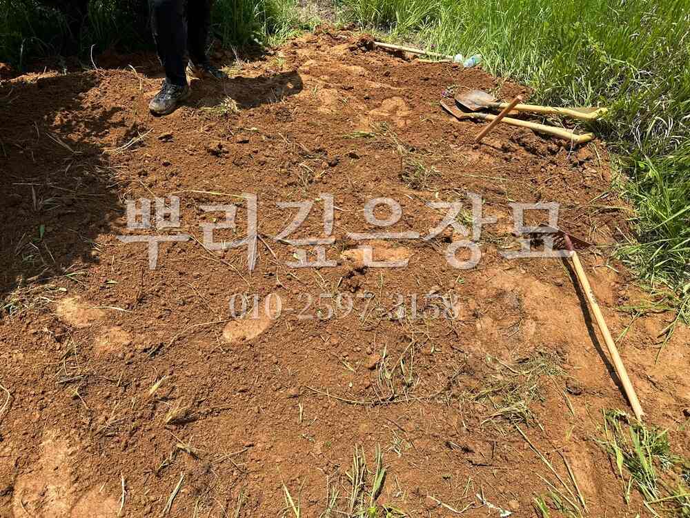 묘지이장 정리완료 작업 사진 · 뿌리깊은장묘