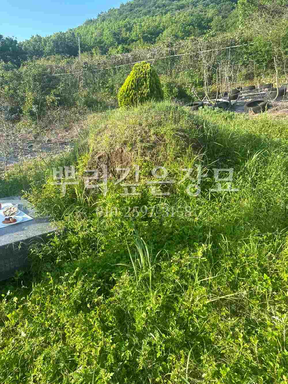 묘지이장 현장전경 작업 사진 · 뿌리깊은장묘