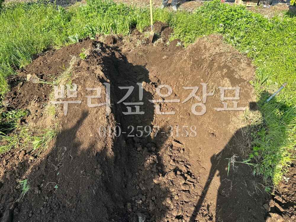 묘지이장 인력굴착 작업 사진 · 뿌리깊은장묘