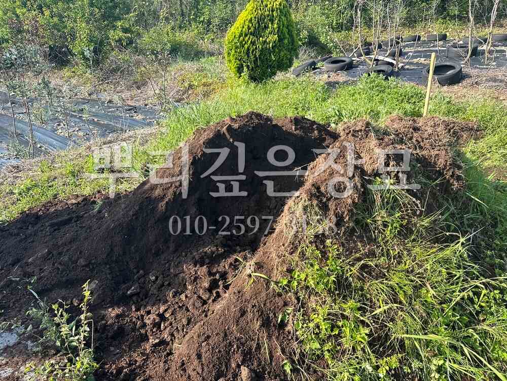 묘지이장 정리완료 작업 사진 · 뿌리깊은장묘