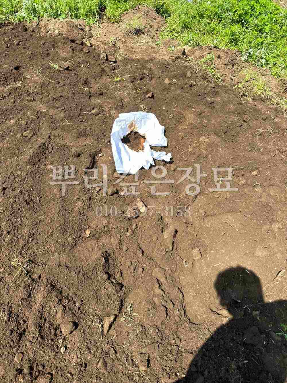 묘지이장 정리완료 작업 사진 · 뿌리깊은장묘