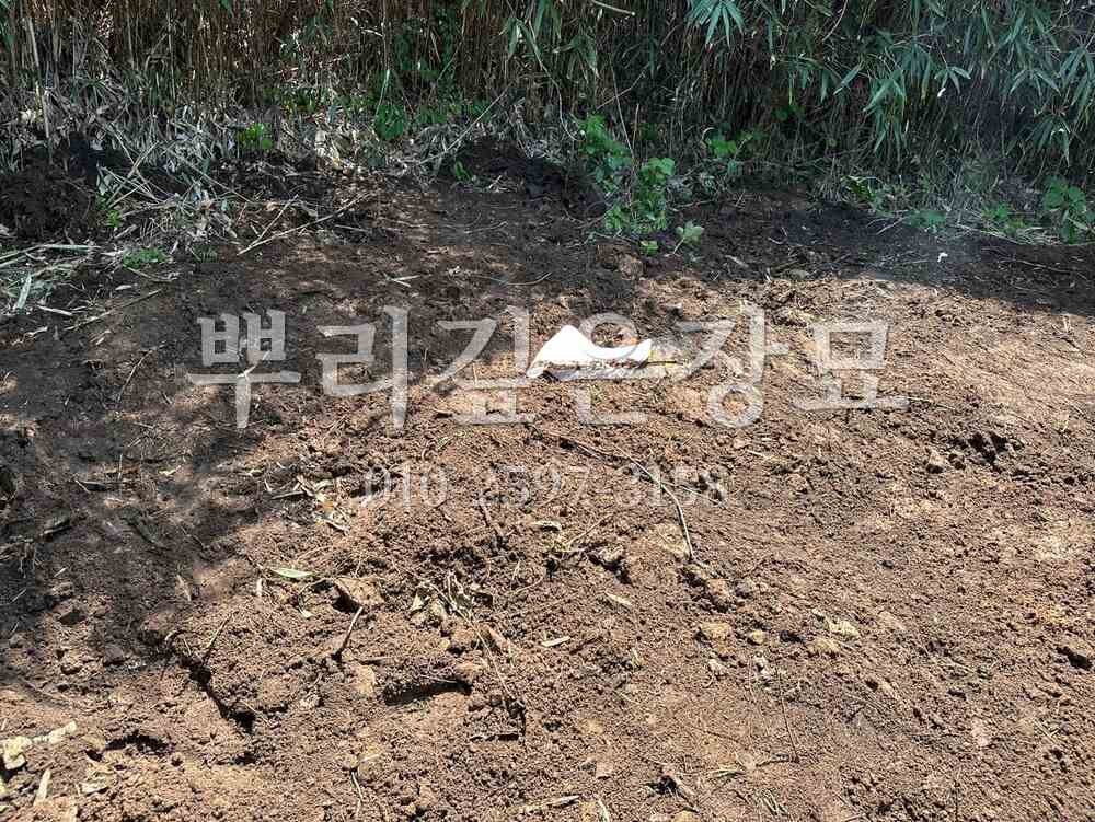 묘지이장 정리완료 작업 사진 · 뿌리깊은장묘