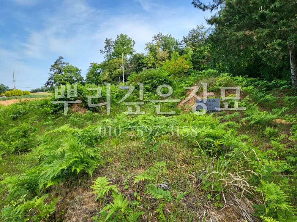 묘지이장 현장전경 작업 사진 · 뿌리깊은장묘