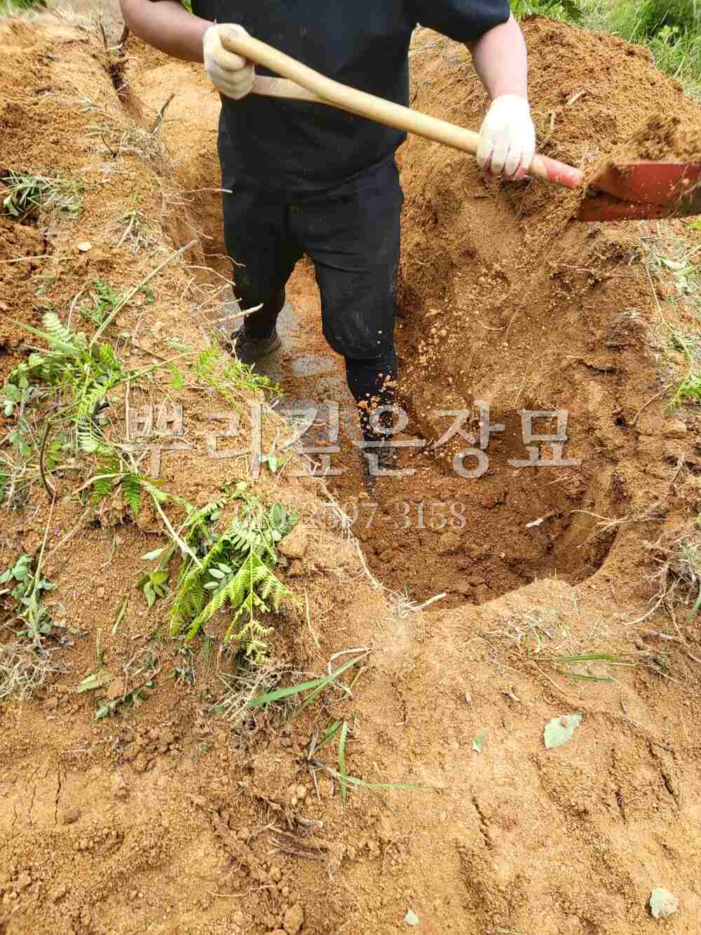 묘지이장 인력굴착 작업 사진 · 뿌리깊은장묘
