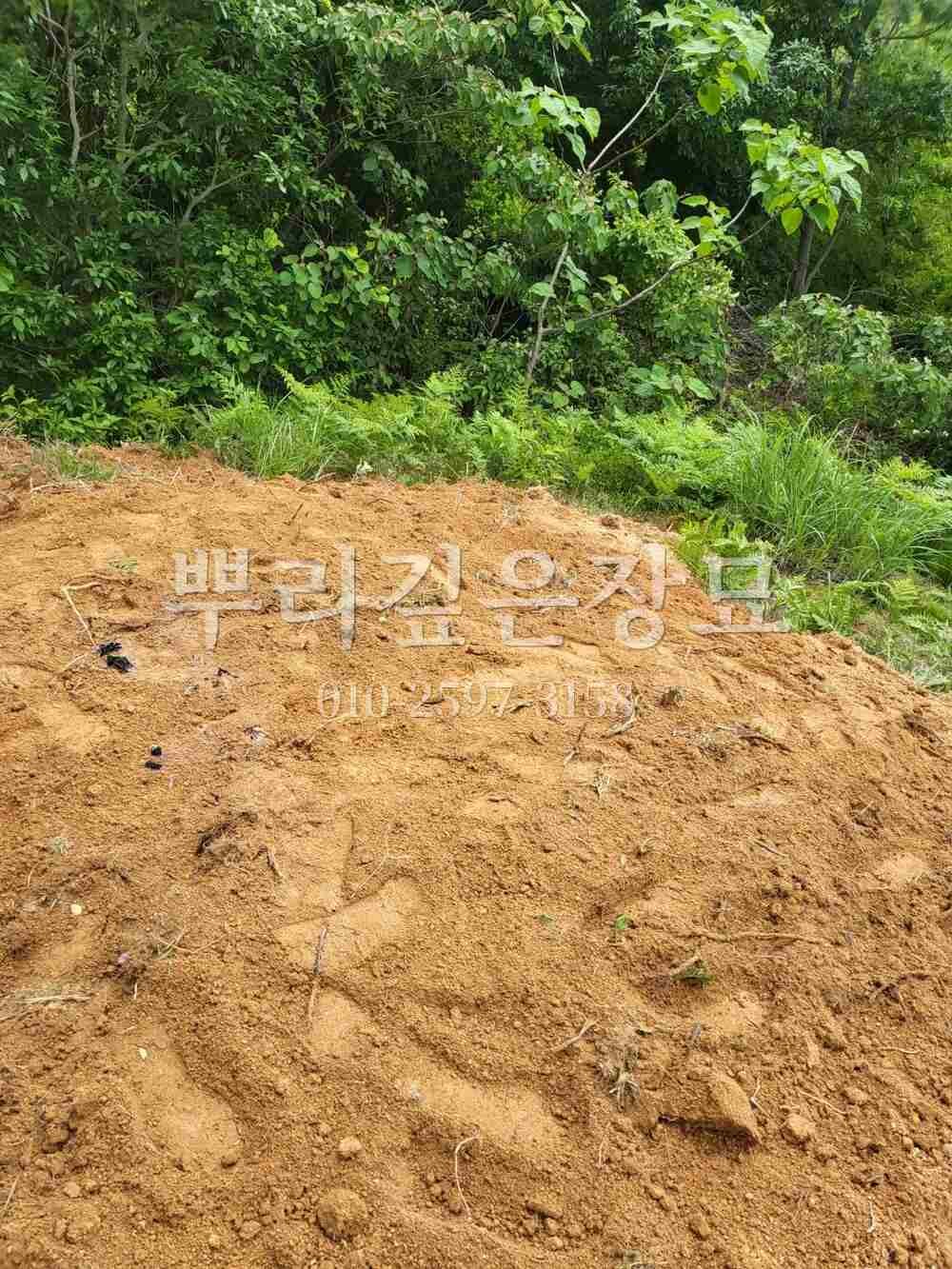 묘지이장 정리완료 작업 사진 · 뿌리깊은장묘