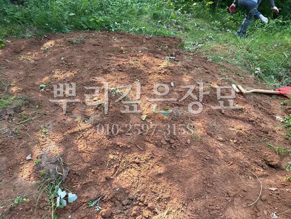 묘지이장 정리완료 작업 사진 · 뿌리깊은장묘