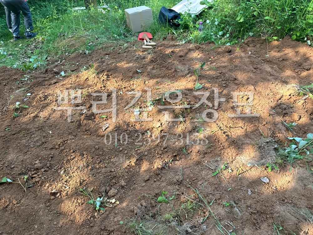 묘지이장 정리완료 작업 사진 · 뿌리깊은장묘