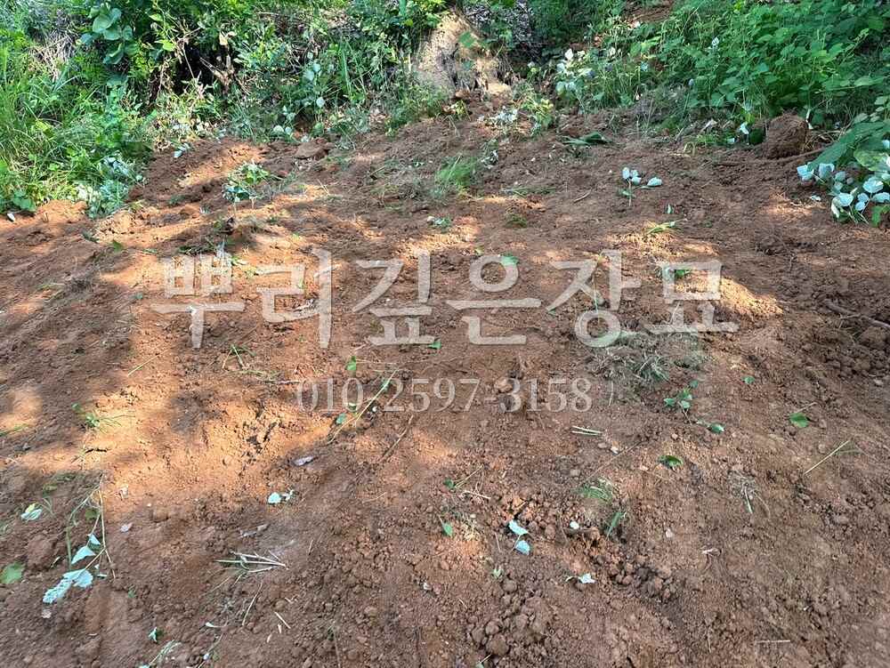 묘지이장 정리완료 작업 사진 · 뿌리깊은장묘