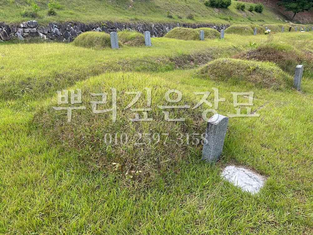 묘지이장 현장전경 작업 사진 · 뿌리깊은장묘