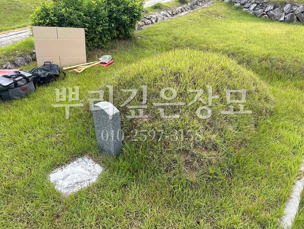 묘지이장 현장전경 작업 사진 · 뿌리깊은장묘