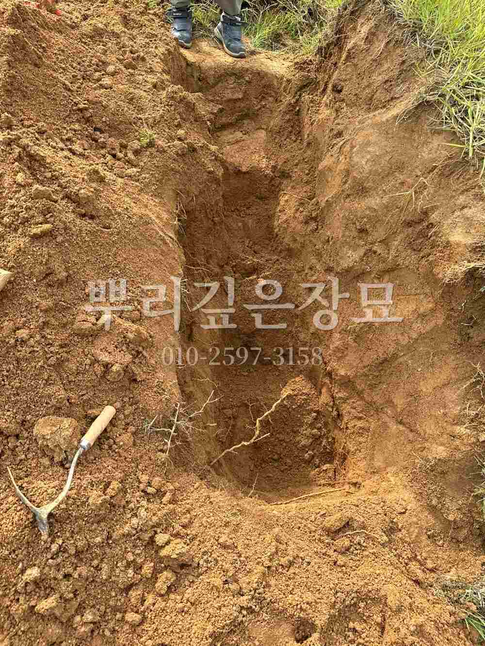 묘지이장 인력굴착 작업 사진 · 뿌리깊은장묘