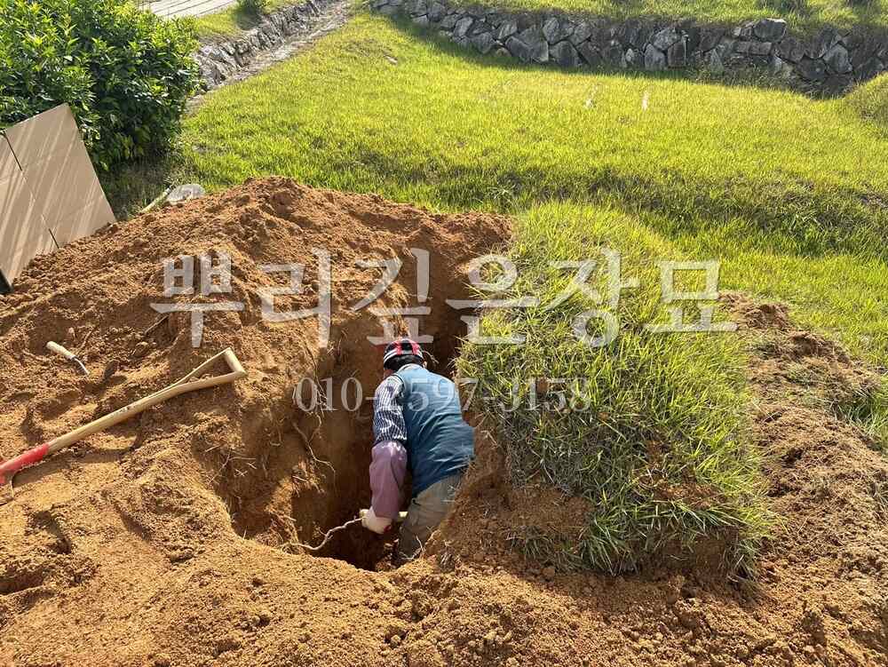 묘지이장 인력굴착 작업 사진 · 뿌리깊은장묘