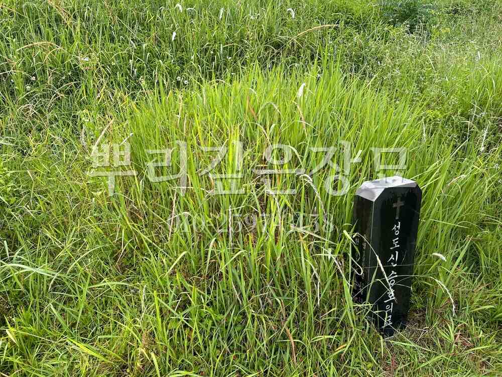 묘지이장 현장전경 작업 사진 · 뿌리깊은장묘