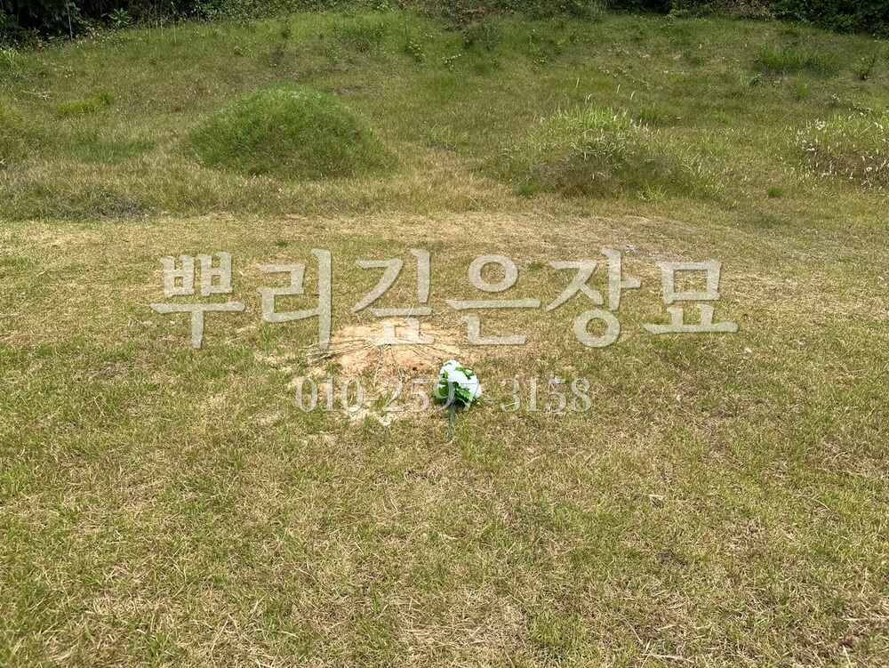 묘지이장 정리완료 작업 사진 · 뿌리깊은장묘