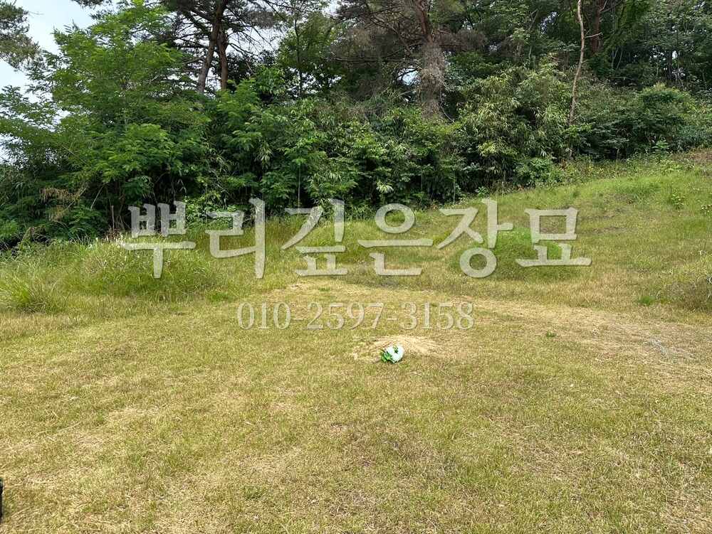 묘지이장 현장전경 작업 사진 · 뿌리깊은장묘