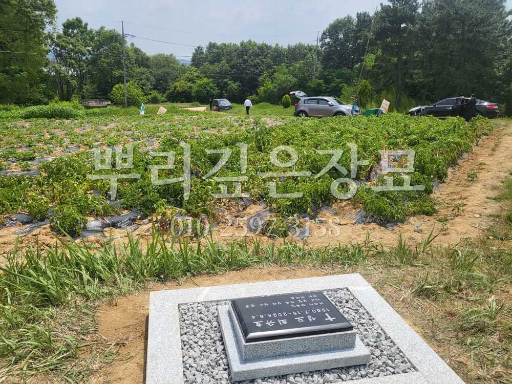 평장묘 조성완료 작업 사진 · 뿌리깊은장묘